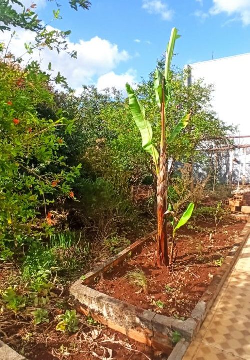 CASA PASSO DOS FORTES R$680 (11)